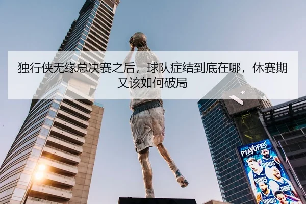 独行侠无缘总决赛之后，球队症结到底在哪，休赛期又该如何破局