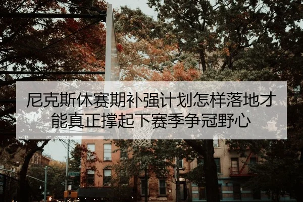 尼克斯休赛期补强计划怎样落地才能真正撑起下赛季争冠野心